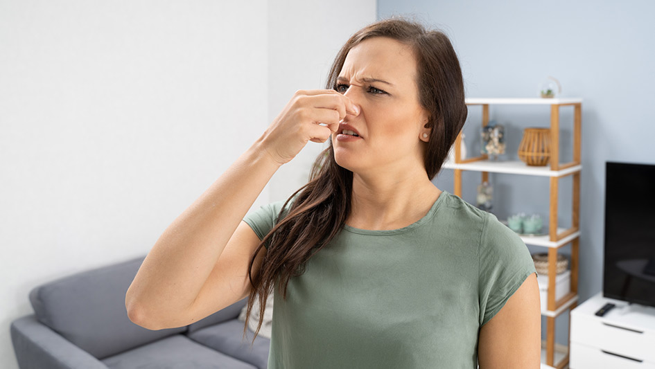 Six Common Air Conditioner Smells Answered and How to Repair Them